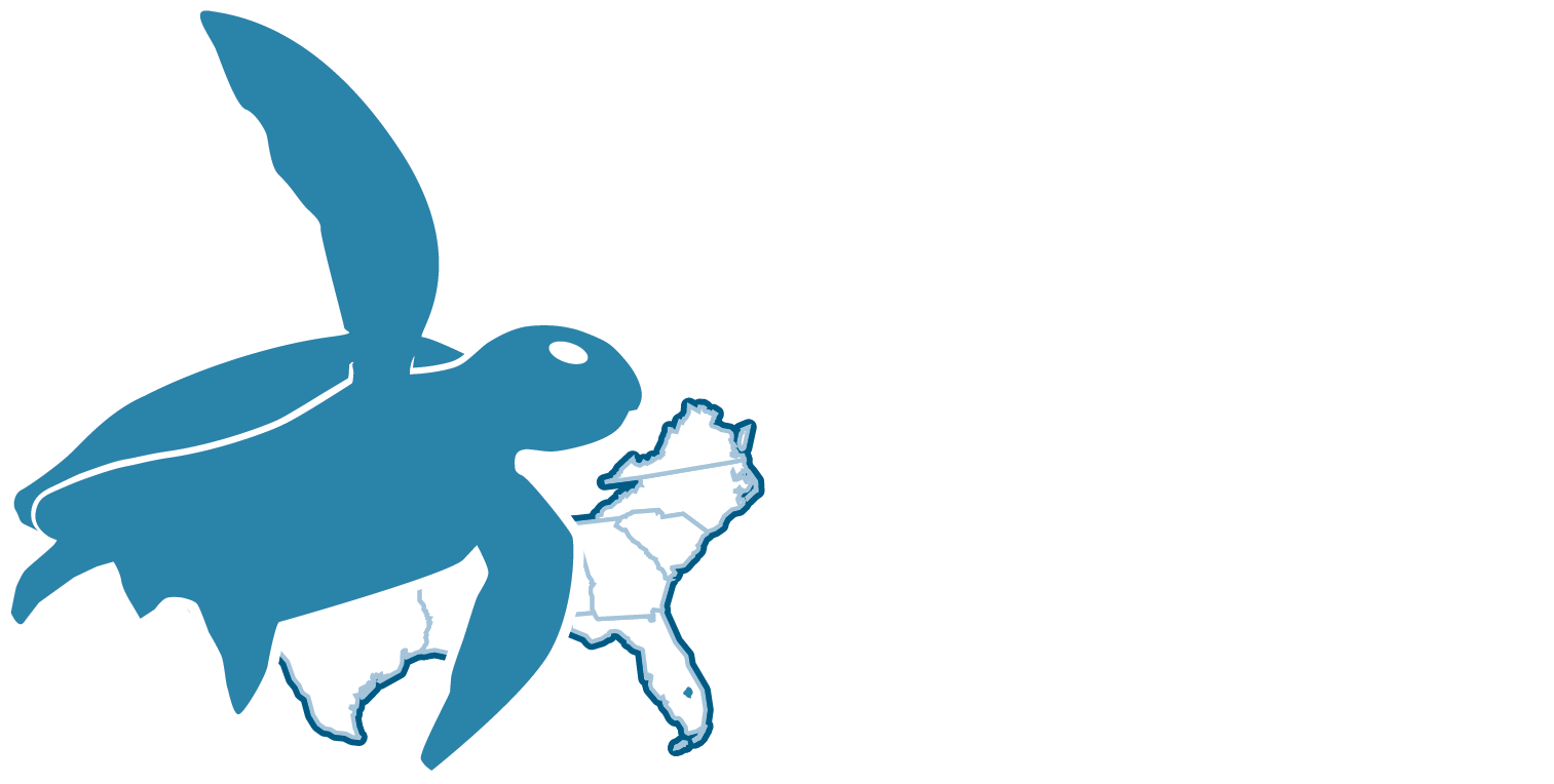Logo with blue sea turtle graphic superimposed on an outline of the southeast un